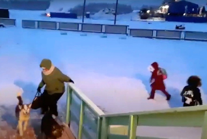 Trẻ em trong làng thường được cha mẹ dẫn đến trường. Họ đi bộ và dắt theo chó. Học sinh sống ở làng khác mất khoảng 10-18 phút di chuyển bằng xe buýt nếu thời tiết thuận lợi. Khi nhiệt độ xuống quá thấp, các em cũng chuyển sang đi bộ để đảm bảo an toàn. Ảnh: Siberian Times.