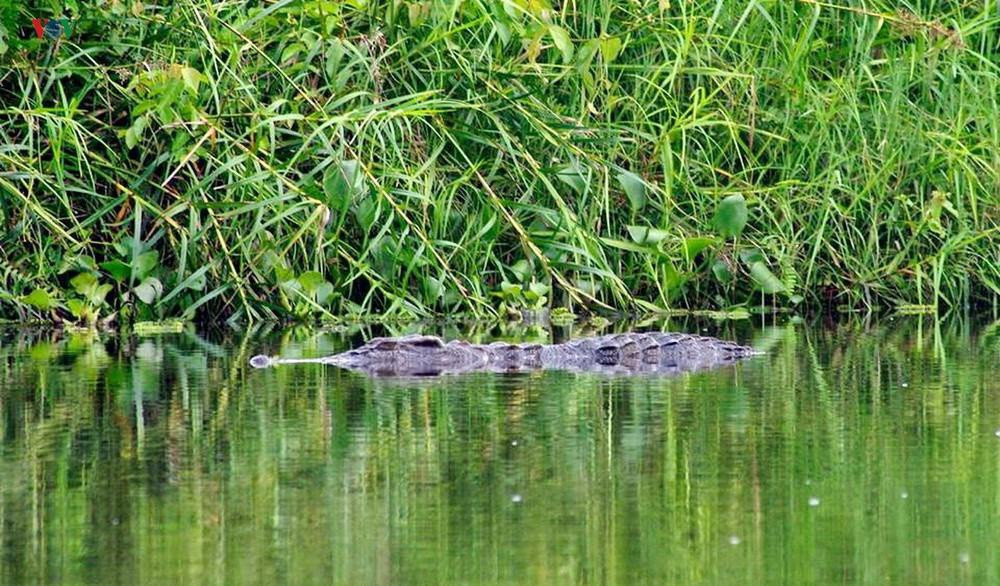 Hiện nay, Vườn quốc gia Cát Tiên đã được công nhận là khu dự trữ sinh quyển thế giới. Vườn quốc gia Cát Tiên cũng từng được đề cử vào top Di sản thiên nhiên thế giới.