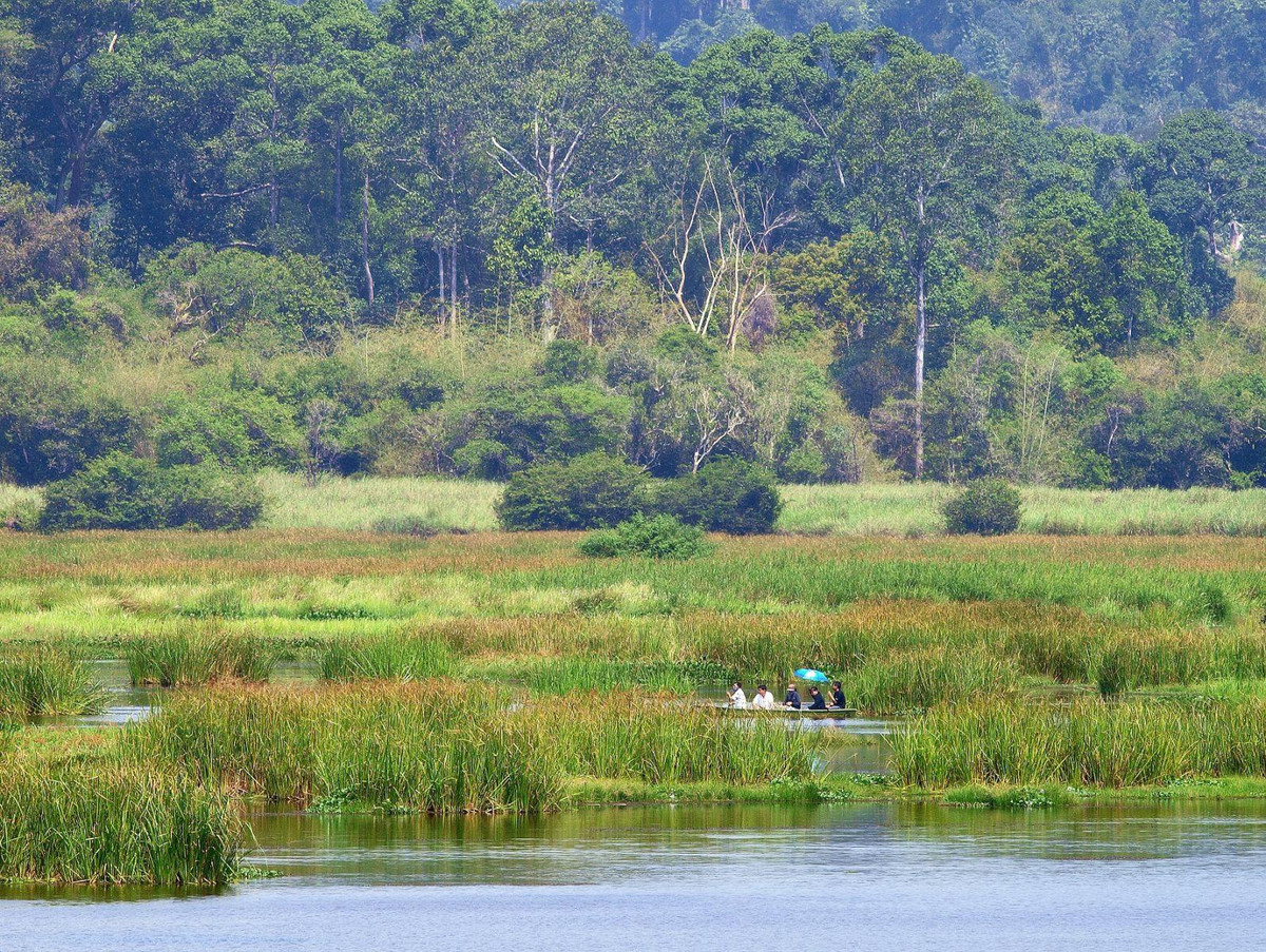 Có diện tích tự nhiên hơn 71.000 ha, Vườn quốc gia Cát Tiên lớn nhất trong số 9 vườn quốc gia ở miền Nam, gồm: Cát Tiên, U Minh Thượng, U Minh Hạ, Mũi Cà Mau, Tràm Chim, Phú Quốc, Côn Đảo, Bù Gia Mập, Lò Gò - Xa Mát.