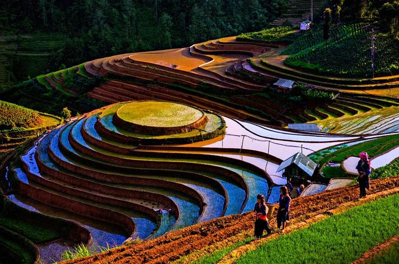 Ruộng bậc thang Mù Cang Chải nằm dưới chân của dãy núi Hoàng Liên Sơn, ở độ cao 1.000 m so với mực biển. Năm 2007, ruộng bậc thang Mù Cang Chải được xếp hạng di tích văn hóa quốc gia.