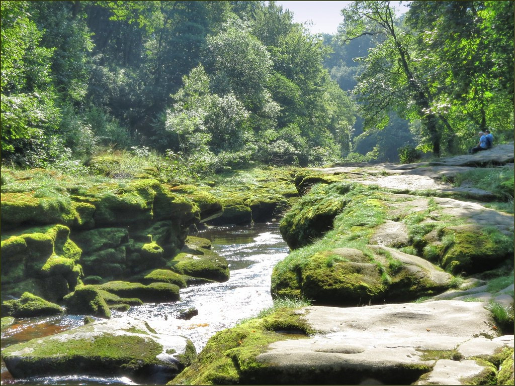 Năm 1998, một cặp vợ chồng đi hưởng tuần trăng mật được cho là cùng tử nạn ở suối. Tiếp đến, năm 2010, MailOnline đưa tin về thảm kịch cậu bé 8 tuổi trượt chân rơi xuống dòng suối này. Giáo sư Carolyn Roberts tại Đại học Gresham (Anh) cho biết: "Những con sông suối đẹp luôn ẩn chưa nguy hiểm đối với con người". Ảnh: Flickr.