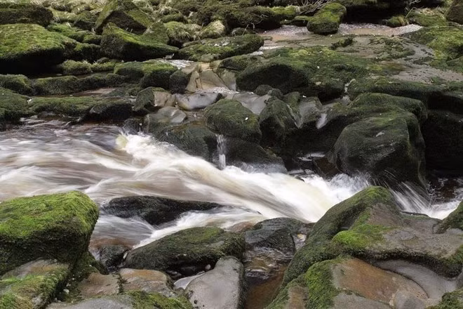 Với chiều dài chưa đến 92 m, dòng suối nhỏ này đổ ra sông rộng 28m. Sông Wharfe chảy qua Yorkshire, đến Bolton Abbey, dòng nước gặp phải khe hẹp khiến vận tốc tăng nhanh và dâng lên cao, tạo nên suối Bolton Strid hung dữ. Hiện không ai biết chính xác dòng suối này có độ sâu bao nhiêu. Ảnh: Shutterstock.