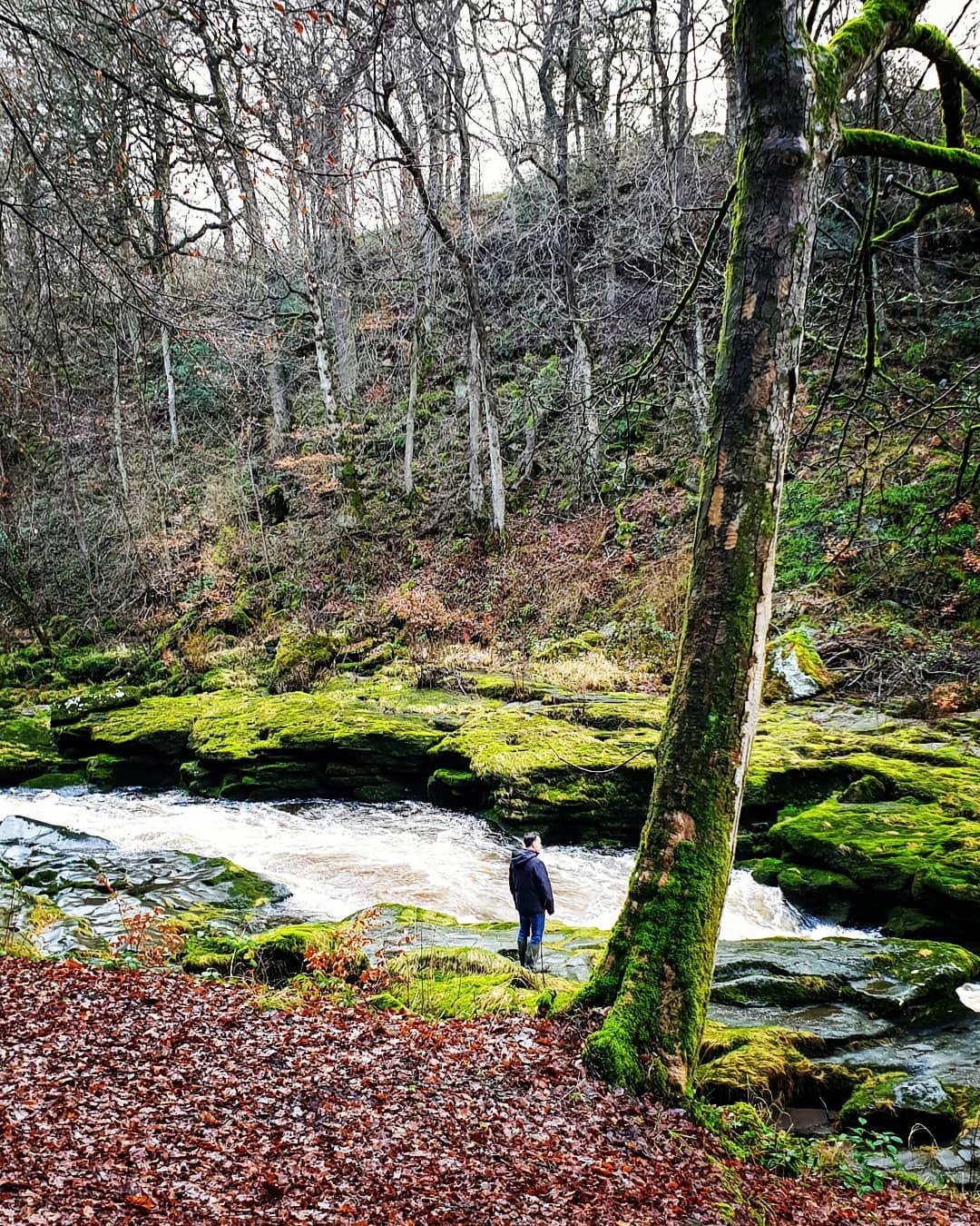 Tuy nhiên, theo người dân địa phương, bất cứ ai không may sảy chân ngã xuống đều mất mạng, thậm chí không tìm thấy xác. Ảnh: Tonytrout, thedigitalfloriographer.