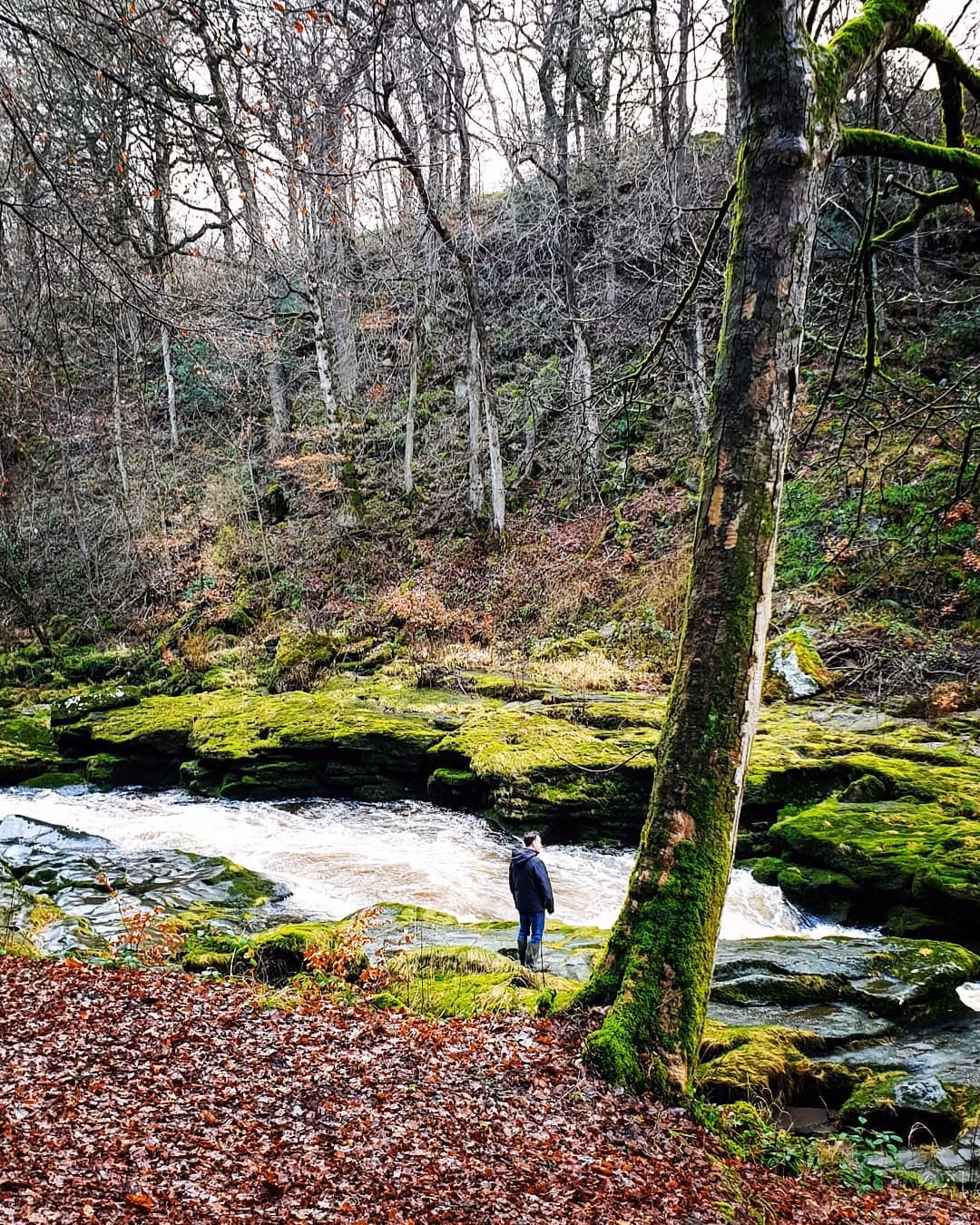 Tuy nhiên, theo người dân địa phương, bất cứ ai không may sảy chân ngã xuống đều mất mạng, thậm chí không tìm thấy xác. Ảnh: Tonytrout, thedigitalfloriographer.