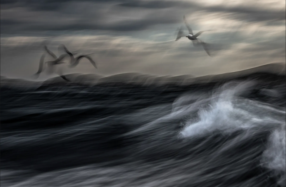 Tác phẩm được trao giải nhì ở cùng hạng mục là Restless Sea (tạm dịch: Biển không ngừng nghỉ) của Jiří Hřebíček từ Czech, chụp những con mòng biển. Ảnh: Jiří Hřebíček.