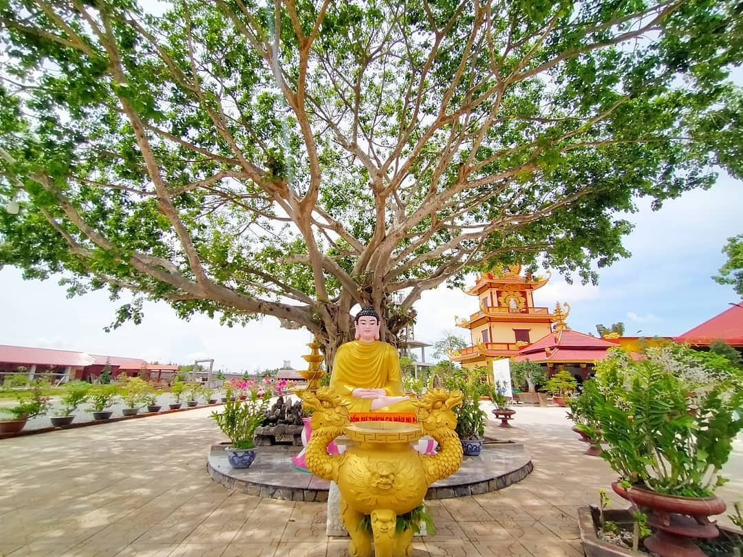 Ngoài tượng Phật Di Lặc, khuôn viên chùa Vạn Phước còn có những hạng mục đáng chú ý như cổng tam quan, chánh điện, tượng Phật Thích Ca dưới gốc bồ đề, nhà tổ, hồ sen, súng, Liên Hoa Thất Bảo... Ảnh: Den_va_di.