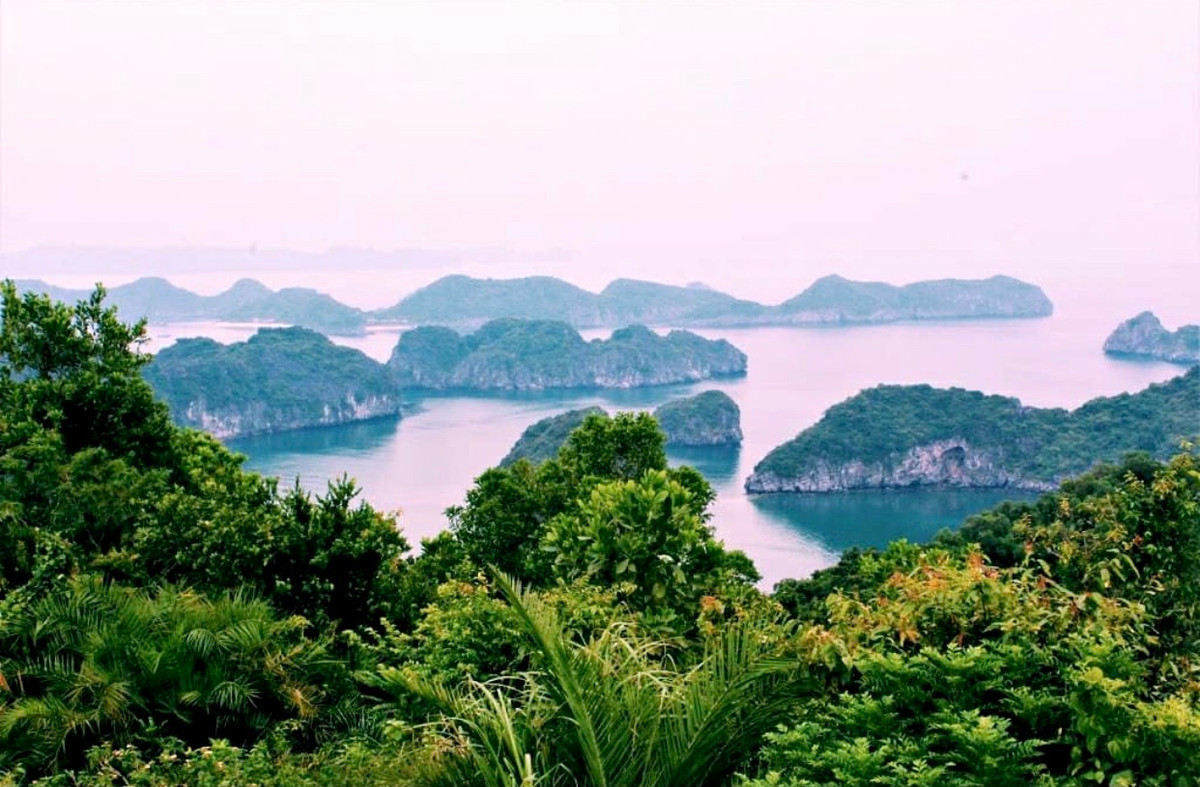 Quần đảo Cát Bà gồm 367 đảo nhỏ, được xem là nơi sở hữu nhiều đảo nhất ở nước ta. Du khách đến đây sẽ có cơ hội khám phá vườn quốc gia, chèo thuyền kayak trên vịnh biển hay thưởng thức loạt đặc sản biển hấp dẫn...