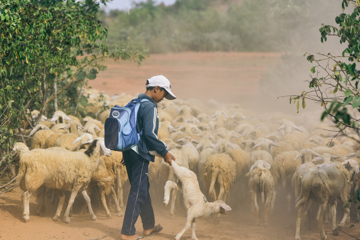 Đồng cừu An Hòa là địa danh nổi tiếng ở xã Xuân Hải, huyện Ninh Hải, tỉnh Ninh Thuận. Đây cũng là một trong những khu vực địa lý cho sản phẩm thịt cừu Ninh Thuận hấp dẫn, đã được Cục Sở hữu trí tuệ (Bộ Khoa học và Công nghệ) cấp giấy chứng nhận đăng ký chỉ dẫn địa lý vào năm 2017.