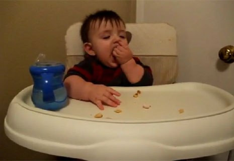 Không ăn bim bim một cách bình thường Chuột thích liếm từng miếng bim bim như con mèo. Hình minh họa