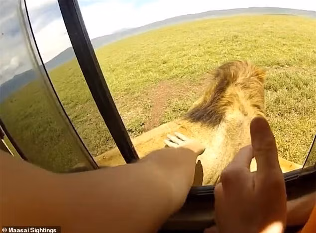 Vuot ve treu dua su tu chau Phi, hai du khach suyt nhan ket dang