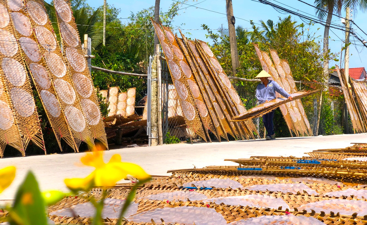 Tuy chỉ là chiếc bánh tráng mỏng manh, đơn giản nhưng để làm ra được chúng, người thợ phải thực nhiều công đoạn, mà công đoạn nào cũng khó; nhất là phải phụ thuộc vào “ông trời”. Bà Giáo cho biết, hôm nào nắng thì làm rất khoẻ, còn gặp gió hoặc mưa thì ở ngoài đường không vô nhà được luôn, vì phải dọn các vỉ bánh kẻo gió bay, mưa ướt - Ảnh: Kim Hà.