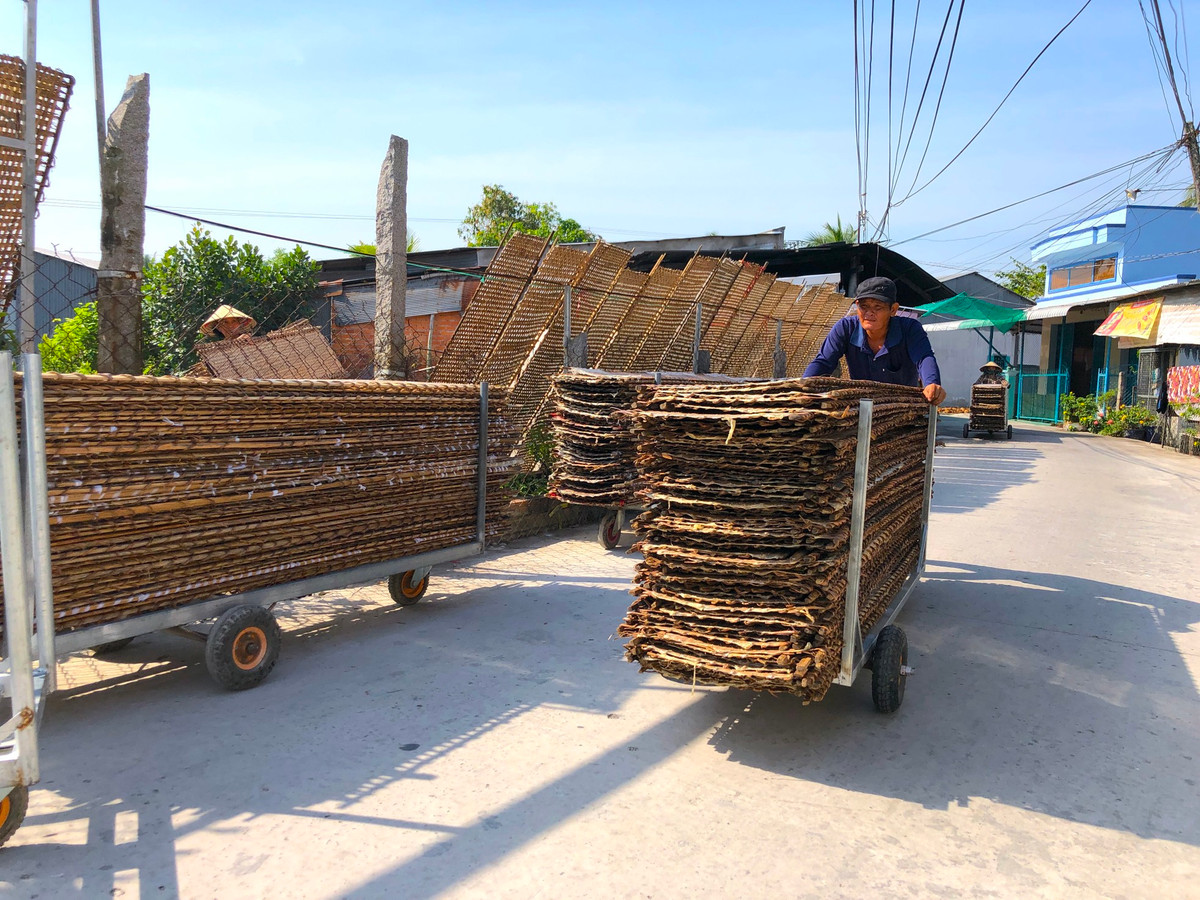 Nhân công thu các vỉ về sau khi bánh tráng đã đủ độ khô - Ảnh: Kim Hà.