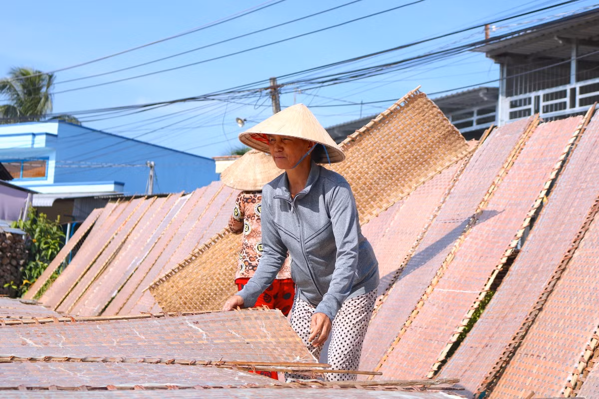 Mỗi ngày, cơ sở của bà Sáu cho “ra lò” khoảng 1 muôn bánh (10.000 chiếc). Năm nay ngoài những mối quen thì có nhiều khách hàng mới cũng tìm đến đặt hàng ở cơ sở bánh tráng của bà Sáu - Ảnh: Kim Hà.