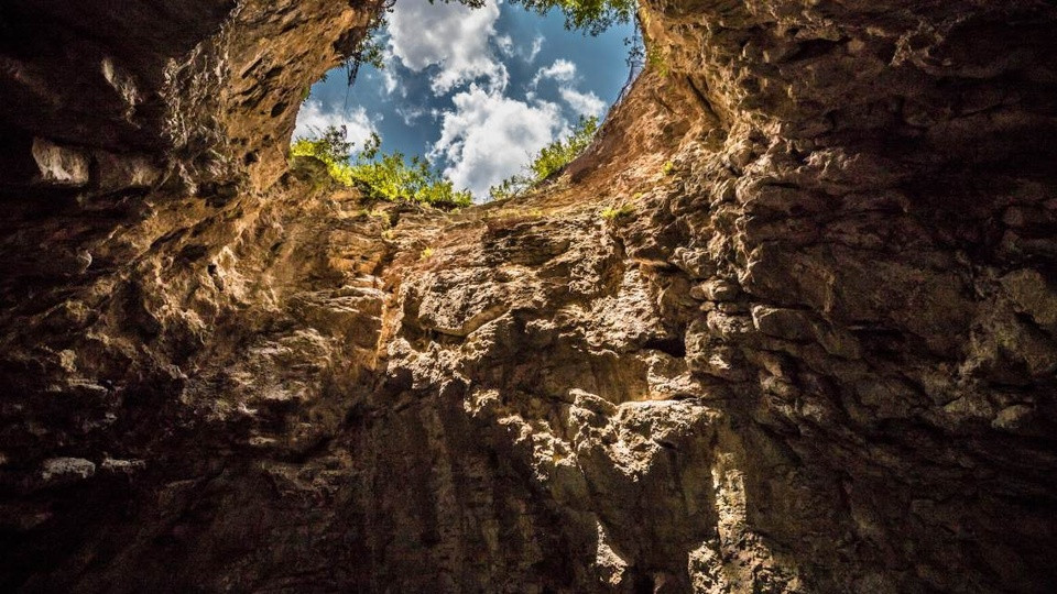 Sững sờ với hệ động, thực vật bên trong hố sụt sâu nhất thế giới