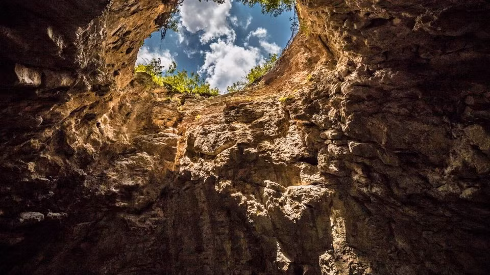 Sững sờ với hệ động, thực vật bên trong hố sụt sâu nhất thế giới