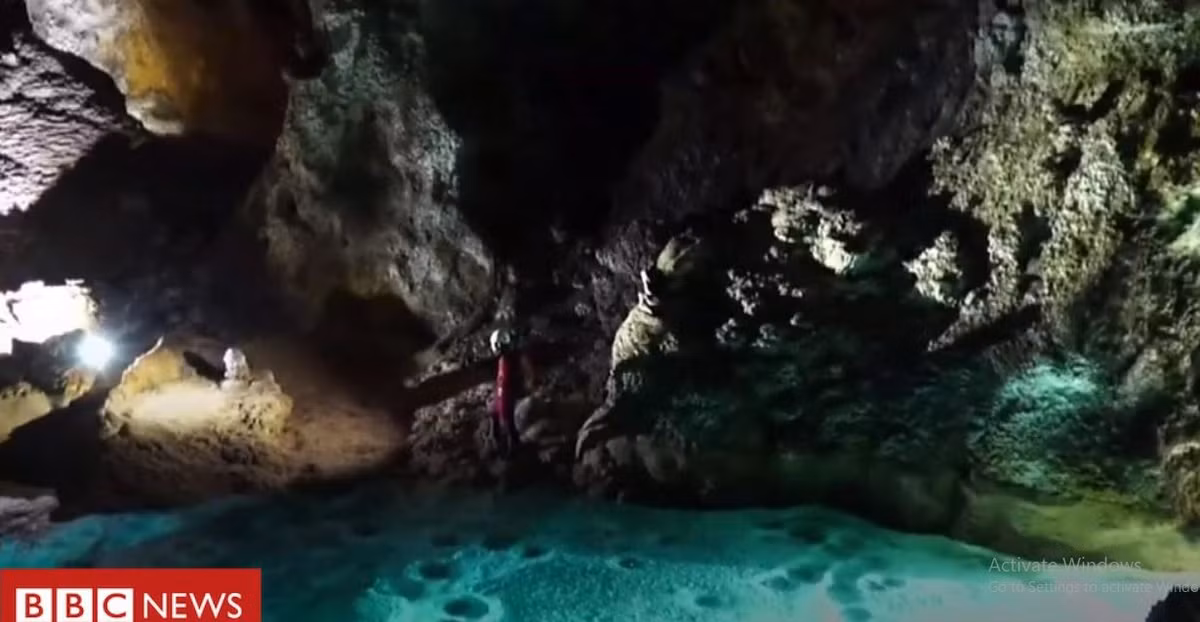 Sững sờ với hệ động, thực vật bên trong hố sụt sâu nhất thế giới