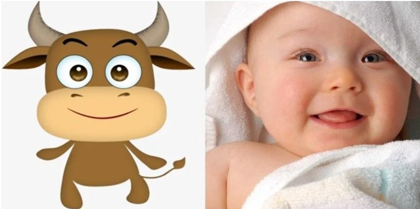 3 con giap nu sinh con trai thi phat tai, sinh con gai thi phu quy