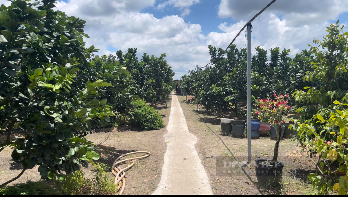 Ba Buoi trong buoi da xanh, lai gan mot ty, xay nha to nhat xom-Hinh-3