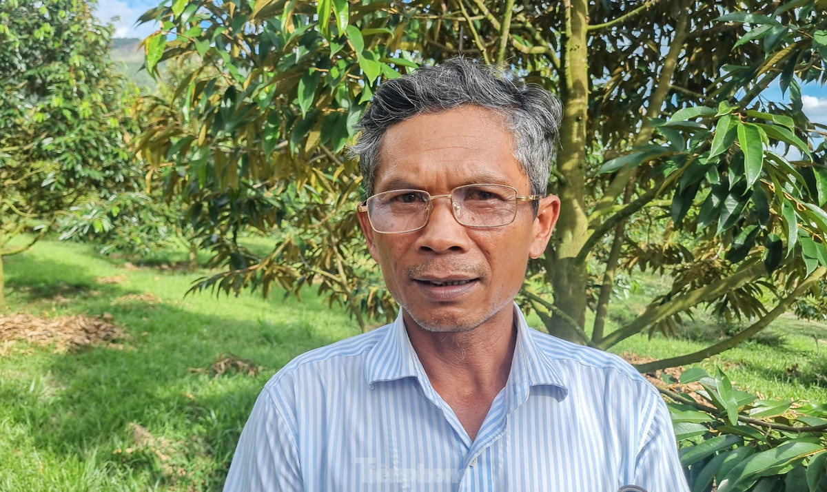 Ông Bo Bo Vĩnh Thành (người đồng bào Raglai, ở xã Sơn Trung) đã trở thành tỷ phú nông dân ở Khánh Sơn nhờ sở hữu 4ha sầu riêng. Mô hình nông nghiệp của ông Thành trở thành điểm đến của nhiều nông dân khác tại địa phương học hỏi để thoát nghèo. "Trồng sầu riêng cực nhất là khâu chăm sóc vì chi phí cao, cây dễ sâu bệnh, nhưng nếu áp dụng tốt khoa học kỹ thuật và trồng có định hướng thì kết quả thu được lâu dài, bền vững", ông Thành chia sẻ.