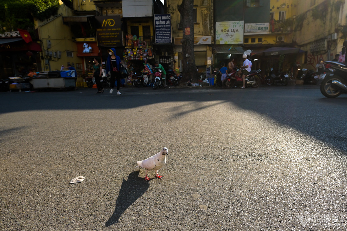 Trước cổng chợ Đồng Xuân không còn cảnh tấp nập buôn bán như mọi khi. Tiểu thương nghỉ lễ, hàng quán cũng đóng cửa khá nhiều.