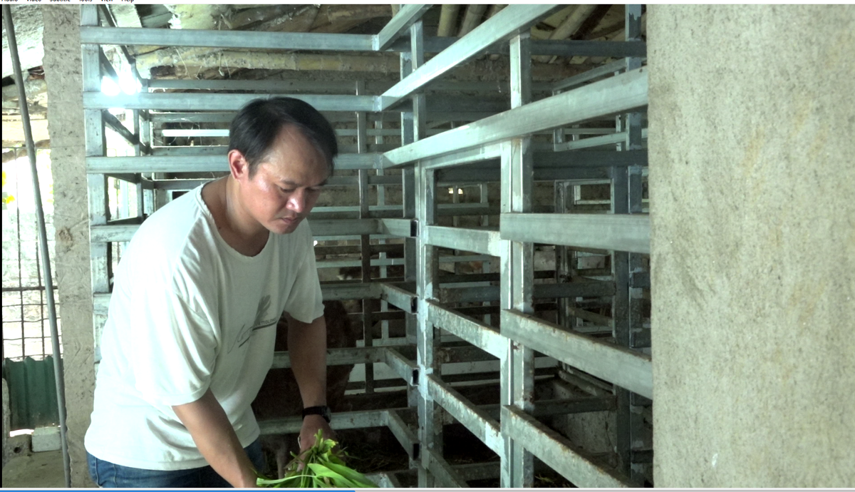 Con vật chỉ ăn cỏ ăn lá mà “trả” tiền cục cho nông dân Con vat chi an co an la ma “tra” tien cuc cho nong dan