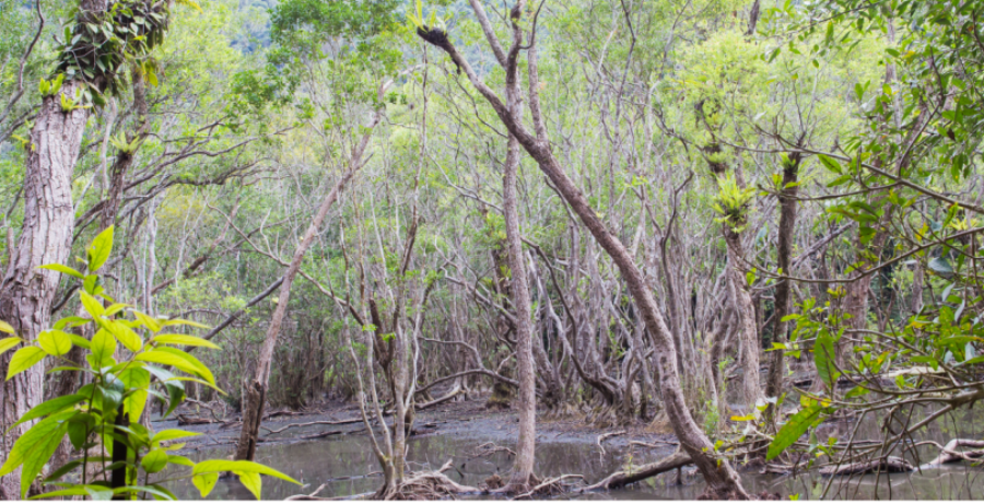 Bat mi di san the gioi lien tinh, thanh pho dau tien cua Viet Nam-Hinh-2