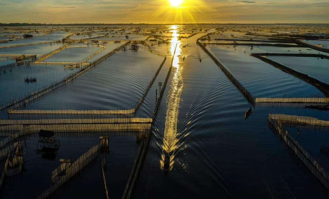 Đầm chuồn Huế mang một nét đẹp quyến rũ, bình bị lay động du khách thập phương.