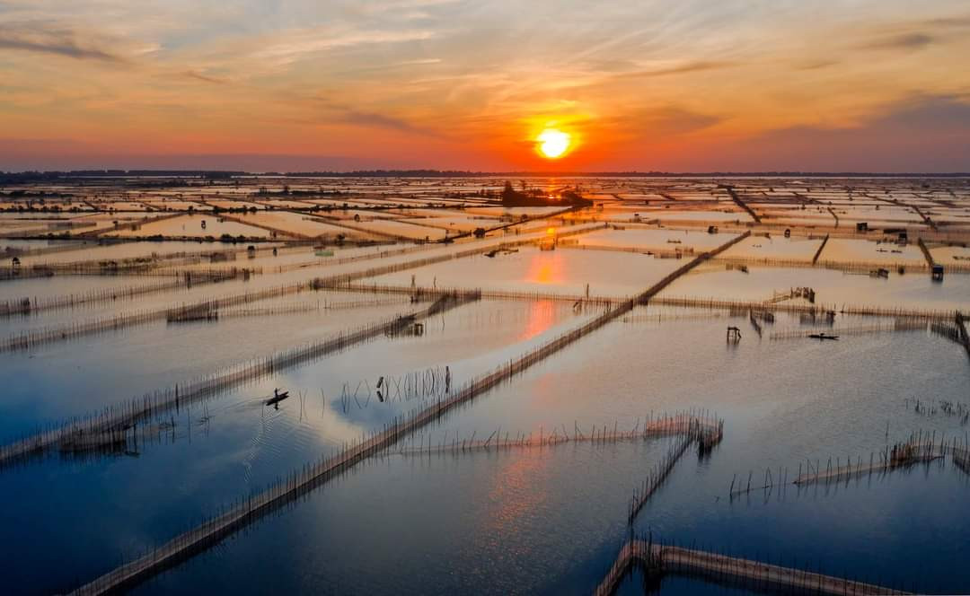 Không chỉ nổi tiếng với các loại cá, mà nơi đây còn nổi tiếng với các món bánh đặc sản như bánh khoái cá kình, bánh tét làng chuồn, bánh canh, bánh nậm,…