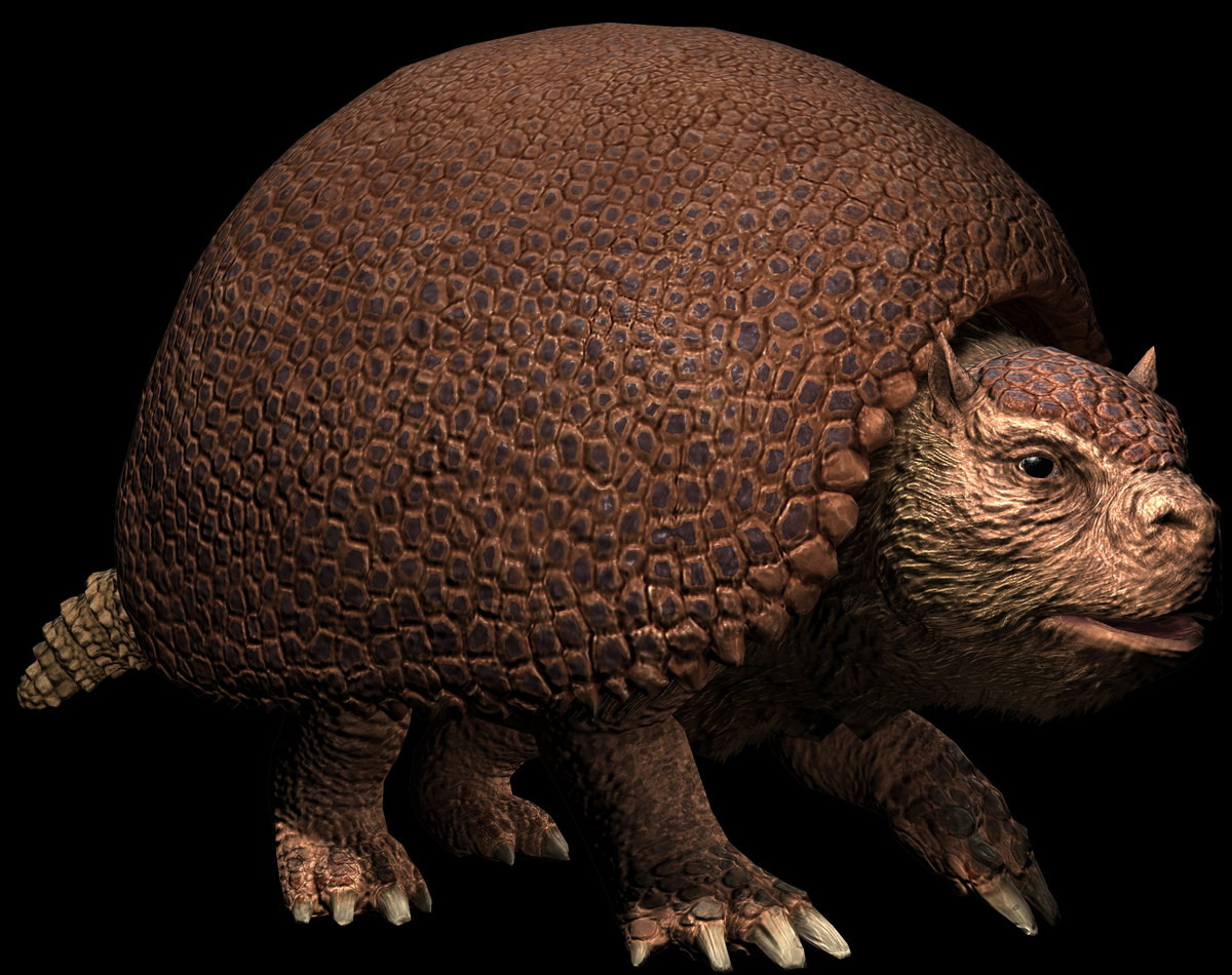 Dù không thể rụt đầu vào mai như rùa nhưng lớp da bọc thép của chúng tạo thành một chiếc mũ xương trên đỉnh hộp sọ, có tác dụng bảo vệ rất tốt. Ảnh: Jurassic Park.