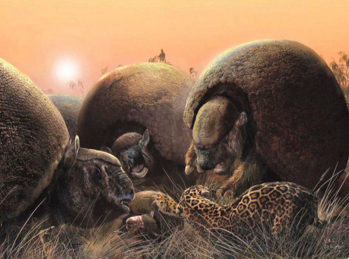 Trong tự nhiên, không nhiều loài vật ăn thịt đương thời có thể hạ gục được một con glyptodon trưởng thành. Kẻ thù lớn nhất của chúng có lẽ là các loài chim thuộc họ Phorusrhacidae, một họ chim ăn thịt khổng lồ không biết bay. Ảnh: Pinterest.