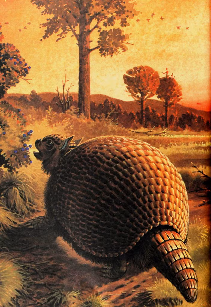 Glyptodon đã tuyệt chủng vào cuối kỷ băng hà cuối cùng, cùng với một số lượng lớn các loài động vật cỡ lớn khác ở châu Mỹ, gồm cả loài lười đất khổng lồ và lạc đà không bướu cổ dài. Ảnh: Vintage animals.