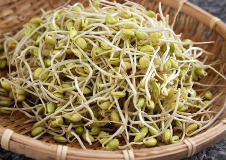 Giá đỗ giàu dinh dưỡng, giúp cải thiện dinh dưỡng Gia do giau dinh duong, giup cai thien dinh duong