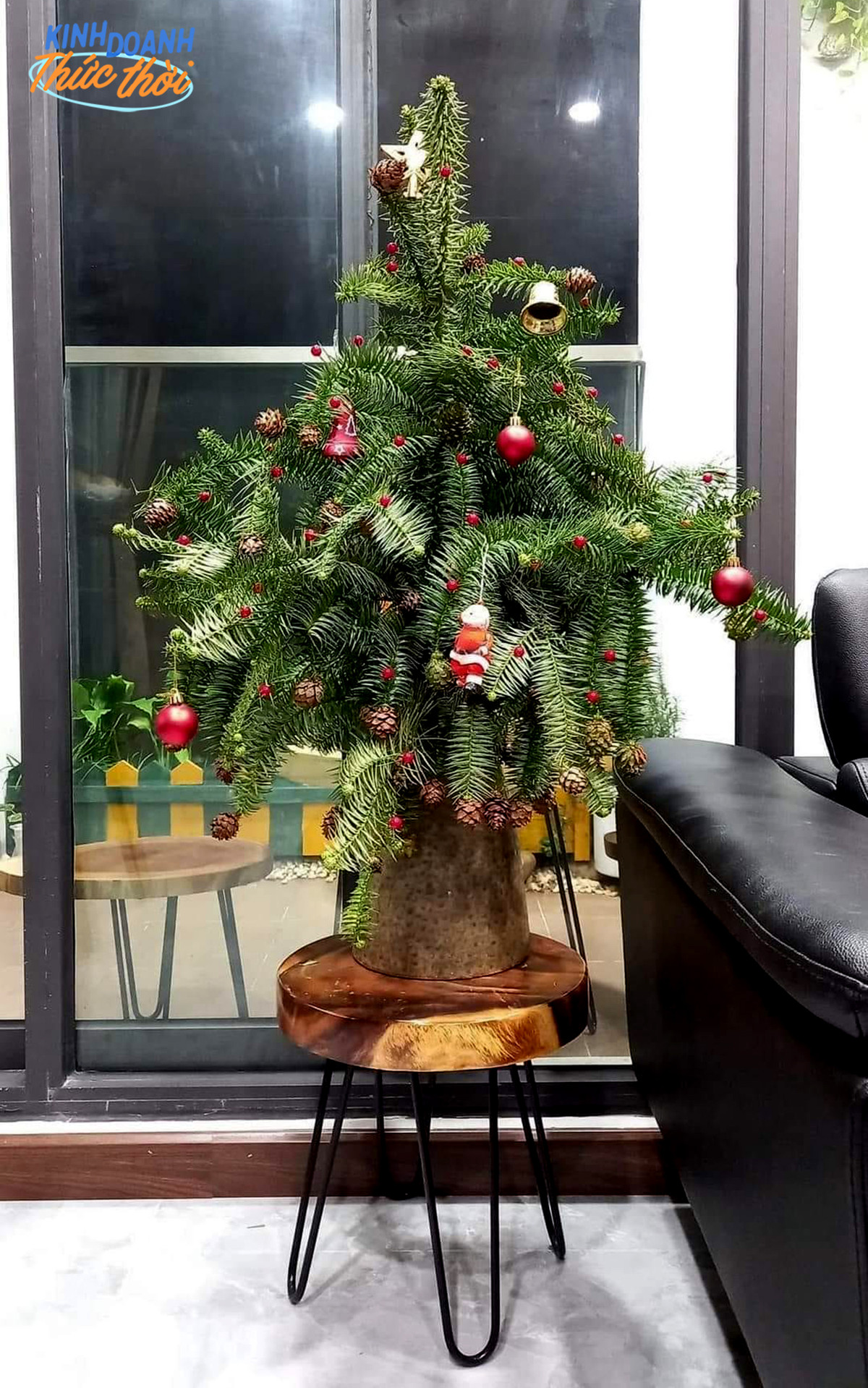 "Xài cành thông bản địa mình thấy rất thích vì chúng tươi, rẻ, còn có cả quả thông nữa. Thật ra cắm cành thông kiểu này mình thấy mọi người đã dùng rất nhiều từ năm ngoái, nhưng năm nay mình nhận được đơn đặt hàng phải gấp 2 lần năm ngoái. Mọi người thích các cành thông có dáng hơi uốn lượn để dễ cắm và nhìn nó cũng mềm mại hơn" - chị Hạnh, người bán hoa online tại TP.HCM cho biết.