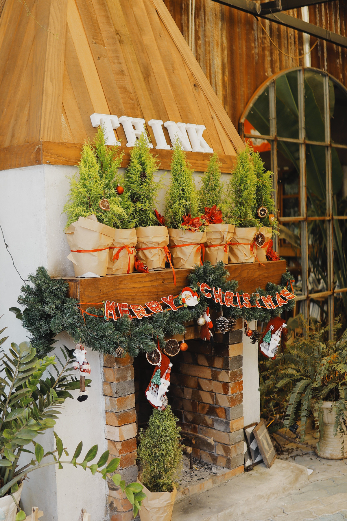 Tuy nhiên Giáng sinh năm nay, mọi người bắt đầu chọn lựa các loại cành thông tươi để mua về cắm bằng chậu hoặc bình tại nhà.