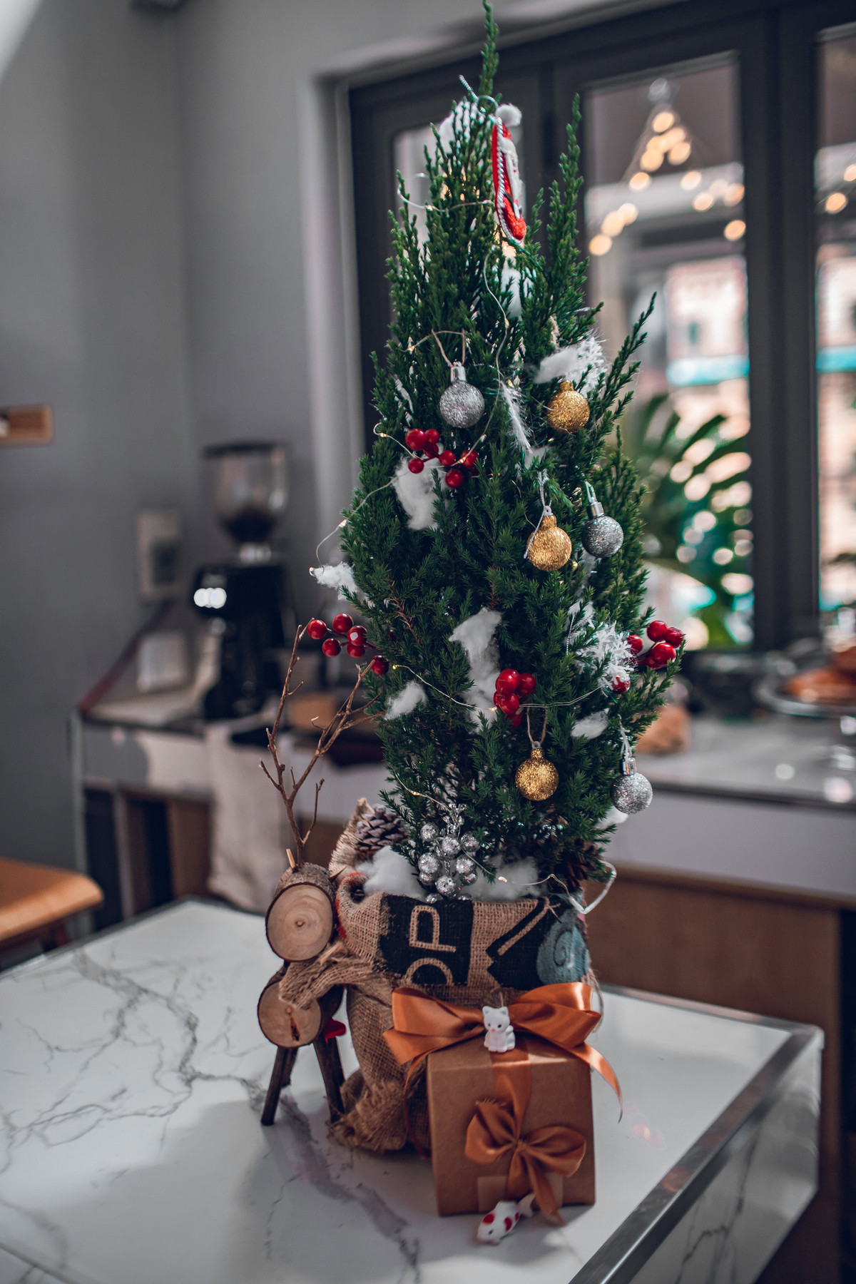 Những dạng thông mini hoặc cây tùng rất được ưa chuộng từ những năm trước. Ảnh minh họa. 