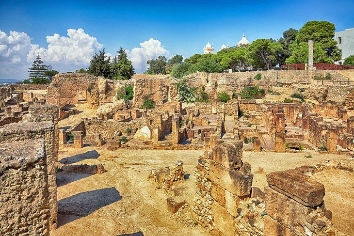  8. Carthage (Tunisia). Nhiều hài cốt trẻ em được phát hiện tại các khu vực tế lễ tại di tích Carthage, cho thấy cư dân thành phố có thể thực hiện nghi thức hiến tế trẻ em vào khoảng năm 800 TCN–146 TCN. Những phát hiện này đã gây tranh cãi về văn hóa và tín ngưỡng của Carthage. Ảnh: Pinterest.