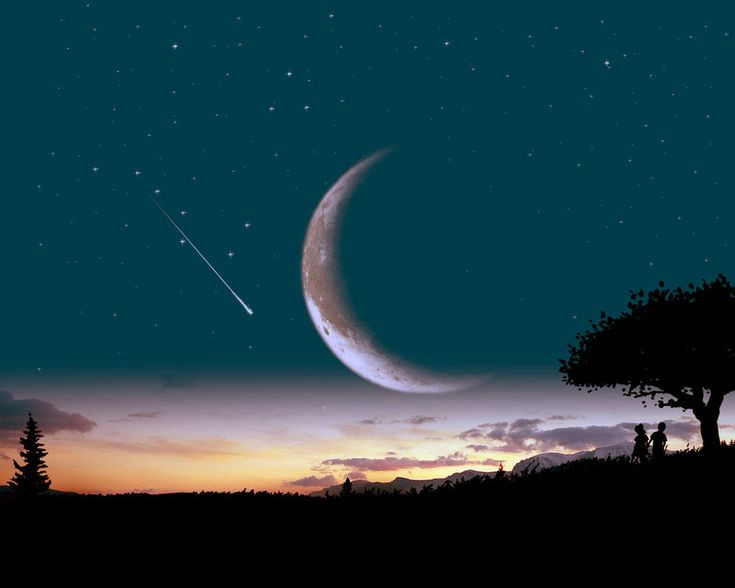  10. Sao băng có thể rơi xuống Trái Đất. Khi sao băng không cháy hết trong khí quyển và rơi xuống bề mặt Trái Đất, chúng được gọi là thiên thạch. Những thiên thạch này có thể nhỏ như hạt đậu hoặc lớn như một tảng đá. Một số thiên thạch còn mang theo thông tin về nguồn gốc và lịch sử của hệ Mặt Trời. Ảnh: Pinterest.