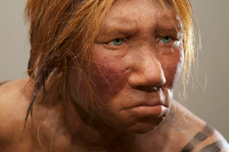  11. Giả thuyết tự phân tán. Một giả thuyết ít được biết đến cho rằng người Neanderthal có thể đã tự phân tán hoặc di cư vào các khu vực khắc nghiệt, khiến họ không thể duy trì cuộc sống. Do thiếu tài nguyên hoặc điều kiện sinh tồn khó khăn, họ có thể đã biến mất dần mà không cần đến sự tác động của Homo sapiens. Ảnh: Pinterest.