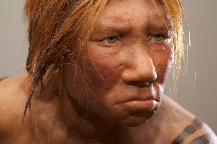  11. Giả thuyết tự phân tán. Một giả thuyết ít được biết đến cho rằng người Neanderthal có thể đã tự phân tán hoặc di cư vào các khu vực khắc nghiệt, khiến họ không thể duy trì cuộc sống. Do thiếu tài nguyên hoặc điều kiện sinh tồn khó khăn, họ có thể đã biến mất dần mà không cần đến sự tác động của Homo sapiens. Ảnh: Pinterest.