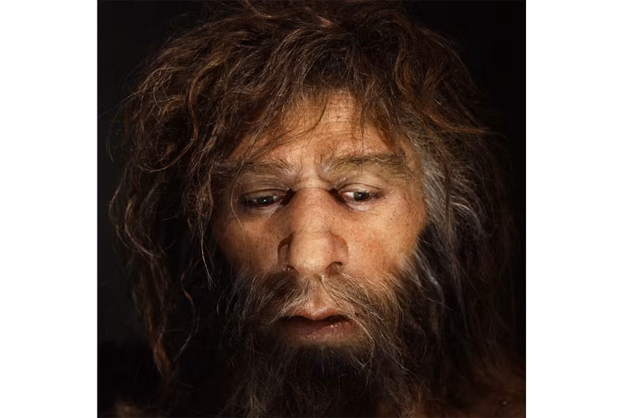  7. Khả năng tổ chức xã hội kém hơn. Người Neanderthal có thể có hệ thống xã hội kém phát triển hơn so với Homo sapiens. Người hiện đại có thể hình thành các mạng lưới xã hội rộng hơn, điều này giúp họ chia sẻ tài nguyên và kiến thức. Khả năng liên kết giữa các nhóm lớn cũng giúp người hiện đại dễ dàng phát triển và sinh tồn hơn trong những điều kiện khắc nghiệt. Ảnh: Pinterest.