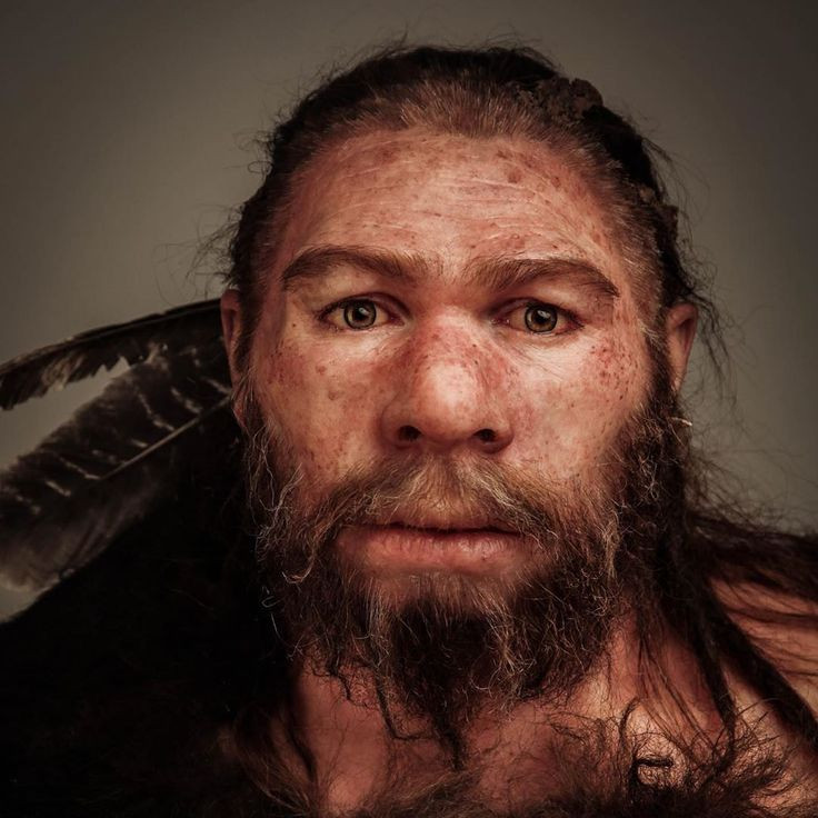 3. Biến đổi khí hậu. Khí hậu thay đổi liên tục trong kỷ băng hà có thể đã tạo ra điều kiện khắc nghiệt đối với người Neanderthal. Thời kỳ băng hà cuối cùng xảy ra vào khoảng 40.000 năm trước đã làm giảm diện tích sống và nguồn thức ăn. Người Neanderthal, sống ở khu vực lạnh giá hơn, có thể không thích nghi kịp với những thay đổi lớn về môi trường, khiến cho quần thể của họ giảm sút. Ảnh: Pinterest.