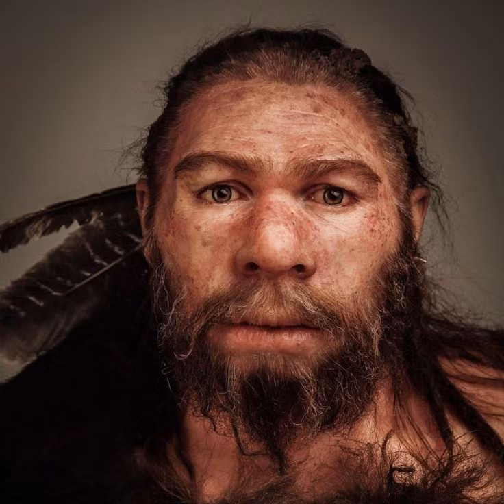  3. Biến đổi khí hậu. Khí hậu thay đổi liên tục trong kỷ băng hà có thể đã tạo ra điều kiện khắc nghiệt đối với người Neanderthal. Thời kỳ băng hà cuối cùng xảy ra vào khoảng 40.000 năm trước đã làm giảm diện tích sống và nguồn thức ăn. Người Neanderthal, sống ở khu vực lạnh giá hơn, có thể không thích nghi kịp với những thay đổi lớn về môi trường, khiến cho quần thể của họ giảm sút. Ảnh: Pinterest.