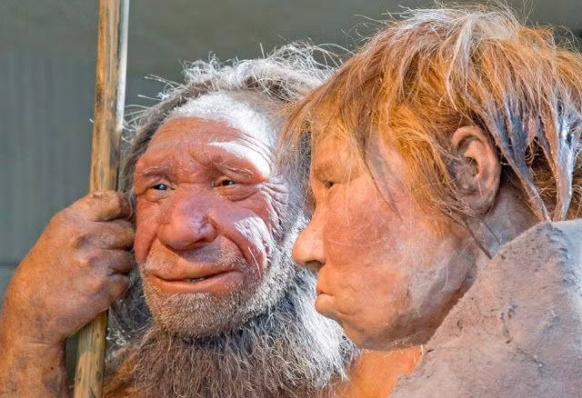  5. Giới hạn về sinh sản. Người Neanderthal có thể đã có tốc độ sinh sản thấp hơn so với người hiện đại. Theo một số nghiên cứu, cấu trúc xã hội và cách sống của họ có thể đã dẫn đến việc sinh sản chậm hơn hoặc ít con hơn. Trong khi đó, người hiện đại có thể đã sinh sản nhanh hơn, chiếm ưu thế về số lượng và dần thay thế người Neanderthal. Ảnh: Pinterest.
