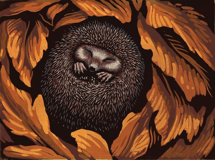  9. Ngủ đông giúp kéo dài tuổi thọ. Bằng cách giảm tốc độ trao đổi chất và các chức năng cơ thể, ngủ đông giúp làm chậm quá trình lão hóa. Một số loài động vật sống lâu hơn khi có cơ chế ngủ đông, vì khi trao đổi chất chậm lại, các tế bào và mô cũng ít bị tổn thương hơn. Ảnh: Pinterest.