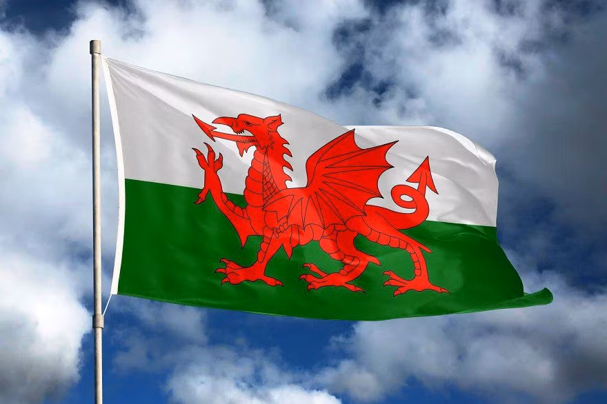 Rồng phương Tây là trung tâm của nhiều câu chuyện phiêu lưu và chiến đấu trong các tác phẩm viễn tưởng, từ “Trò chơi vương quyền” đến “Người Hobbit”. Quốc kỳ xứ Wales có hình rồng. Ảnh: Pinterest.