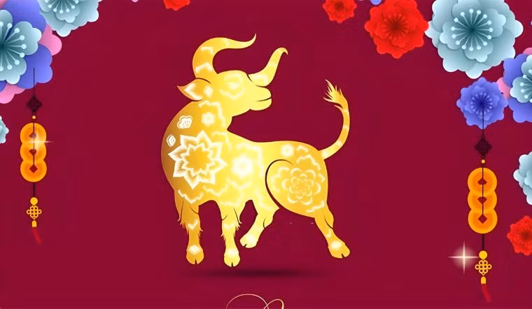  Đồng thời, bạn bè và đồng nghiệp từ khắp nơi cũng tìm đến để học hỏi và hợp tác, giúp người tuổi Sửu tập hợp được một nguồn lực hỗ trợ mạnh mẽ xung quanh mình. Cuộc sống bình yên và sung túc cho phép tâm hồn được chăm sóc giữa bộn bề công việc, cảm giác hạnh phúc lan tỏa nhẹ nhàng theo thời gian. 