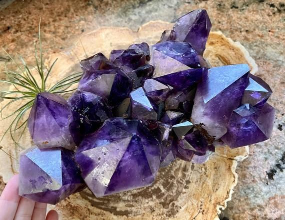  4. Sử dụng trong y học cổ đại. Người Ai Cập cổ tin rằng thạch anh tím có thể chữa lành bệnh và được sử dụng trong các nghi lễ mai táng để bảo vệ linh hồn trong thế giới bên kia. Ảnh: Pinterest.