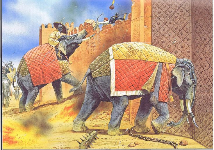  10. Sử dụng trong trận chiến Kalinga. Vua Ashoka của Ấn Độ đã triển khai một số lượng lớn voi chiến trong trận Kalinga (261 TCN), trận chiến khốc liệt dẫn đến quyết định từ bỏ bạo lực và cải đạo Phật giáo của ông. Ảnh: Pinterest.