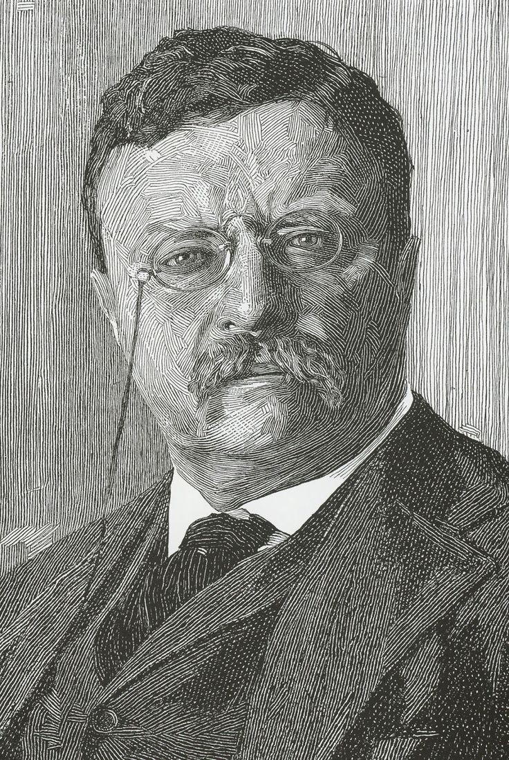 Con đường trở thành tổng thống: Ông trở thành Tổng thống thứ 26 sau khi William McKinley bị ám sát năm 1901. Là một nhân vật năng động, Roosevelt thúc đẩy các cải cách tiến bộ và có sự nghiệp chính trị nổi bật từ trước khi lên nắm quyền. Ảnh: Pinterest.