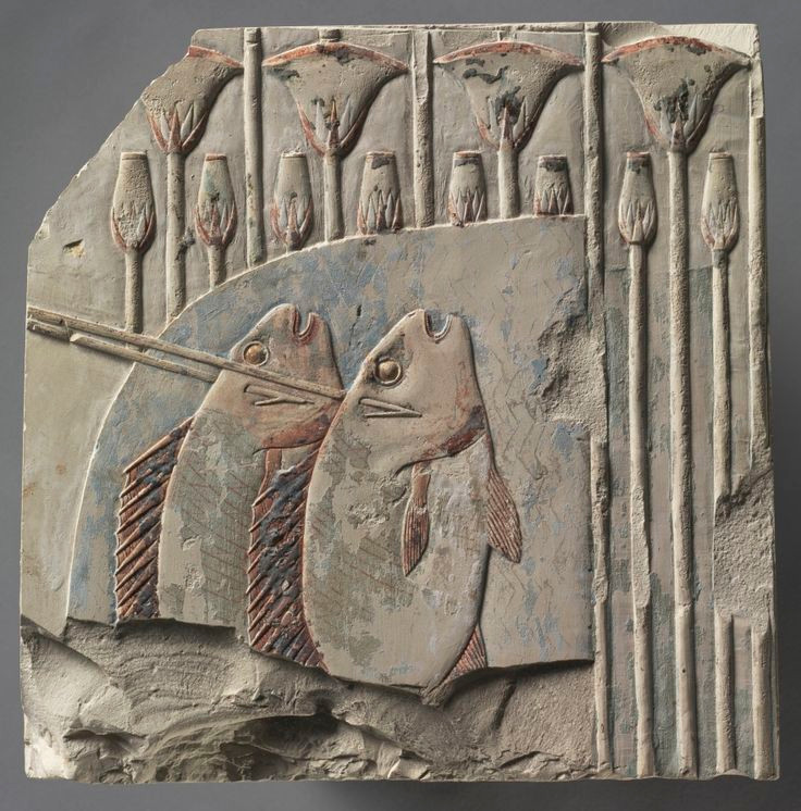  3. Cá. Sông Nile cung cấp nguồn cá phong phú như cá rô, cá chép và cá trê, là thực phẩm phổ biến của người Ai Cập. Cá thường được nướng, hun khói hoặc phơi khô để bảo quản. Một số hình ảnh chạm khắc cho thấy người Ai Cập có cả kỹ thuật muối cá để bảo quản lâu dài. Ảnh: Pinterest.